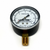 Rotron Gauges - 271949000